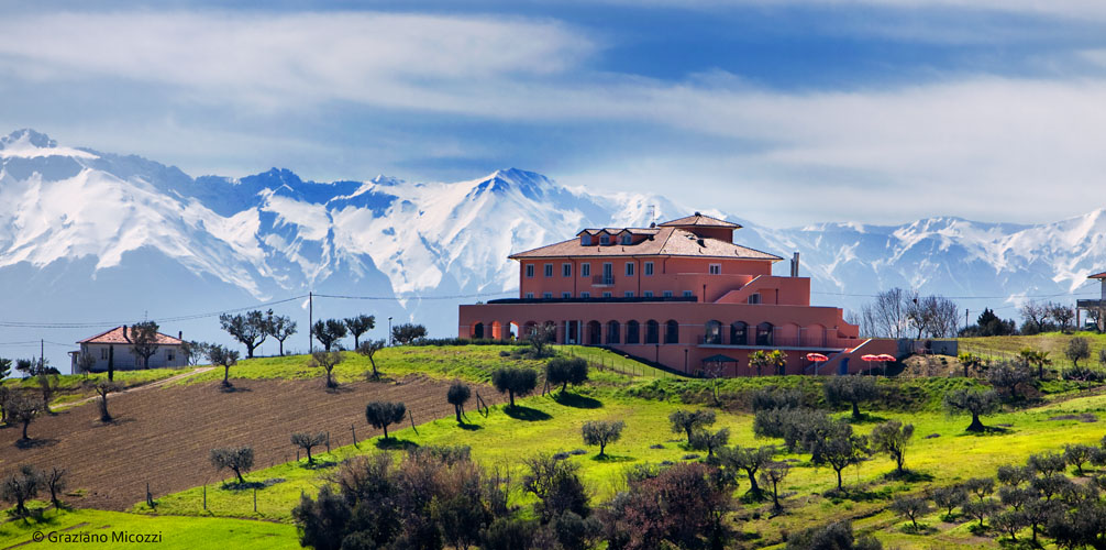 immagine Villa Susanna degli Ulivi